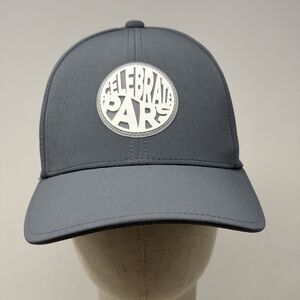 Swannies Golf Celebrate Pars Hat Gray Snapback Adjustable Performance Cap
